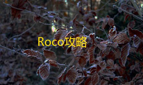 第五人格远方插件Roco攻略